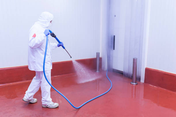 Best Factory Floor Cleaning  in South Fallsburg, NY